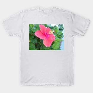 Flower T-Shirt